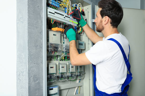 Best Electric Panel Repair  in Hardwick, GA